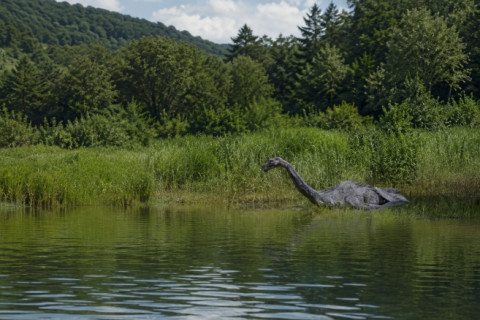 O Monstro do Lago Ness: Entre a Lenda e a Possibilidade de um Dinossauro